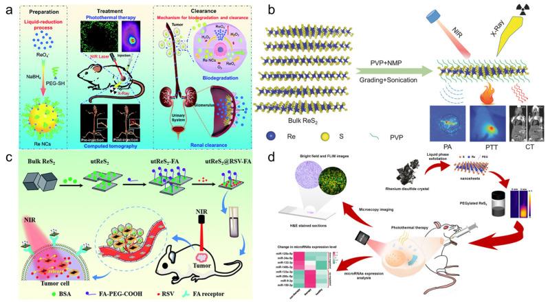 https://cdn.ncbi.nlm.nih.gov/pmc/blobs/904a/10051626/090b9829b65e/molecules-28-02733-g008.jpg