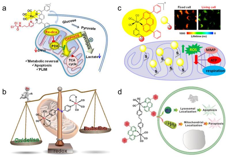 https://cdn.ncbi.nlm.nih.gov/pmc/blobs/904a/10051626/9574c1ee3d19/molecules-28-02733-g006.jpg
