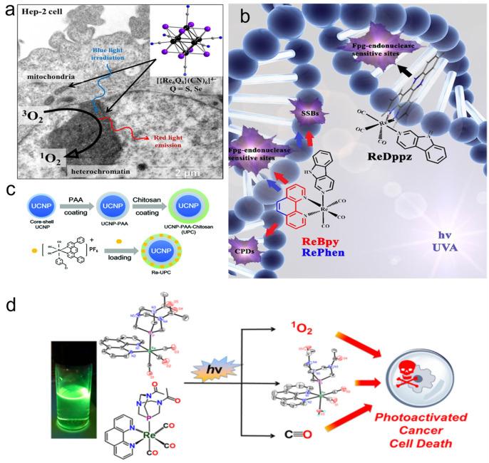 https://cdn.ncbi.nlm.nih.gov/pmc/blobs/904a/10051626/c8e99792abdc/molecules-28-02733-g005.jpg