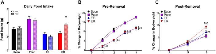 https://cdn.ncbi.nlm.nih.gov/pmc/blobs/904c/6357926/491251f4adeb/fnbeh-12-00287-g004.jpg