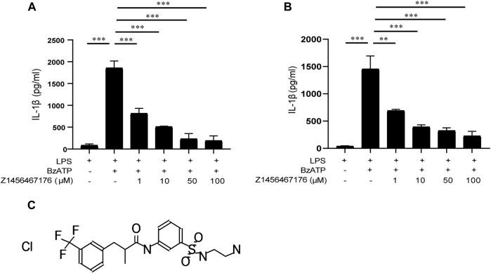 https://cdn.ncbi.nlm.nih.gov/pmc/blobs/904c/9424684/810107b57e74/fphar-13-979939-g002.jpg