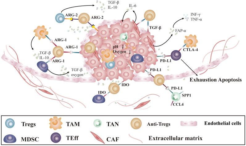 https://cdn.ncbi.nlm.nih.gov/pmc/blobs/904c/9883880/6c9cea422e94/40164_2023_373_Fig3_HTML.jpg