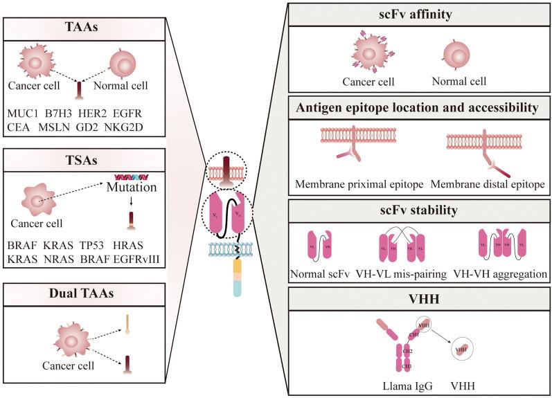 https://cdn.ncbi.nlm.nih.gov/pmc/blobs/904c/9883880/853e132b5061/40164_2023_373_Fig2_HTML.jpg