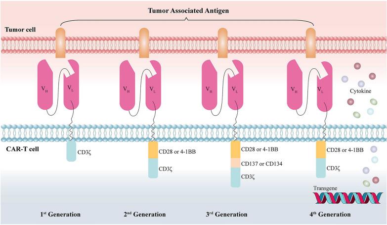 https://cdn.ncbi.nlm.nih.gov/pmc/blobs/904c/9883880/ba1599e60342/40164_2023_373_Fig1_HTML.jpg