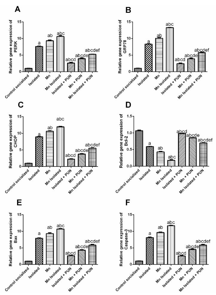 https://cdn.ncbi.nlm.nih.gov/pmc/blobs/904d/10610313/06fc32d9b34b/pharmaceutics-15-02420-g008.jpg