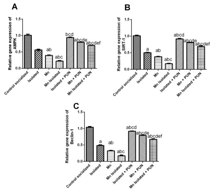 https://cdn.ncbi.nlm.nih.gov/pmc/blobs/904d/10610313/640d6a353026/pharmaceutics-15-02420-g009.jpg