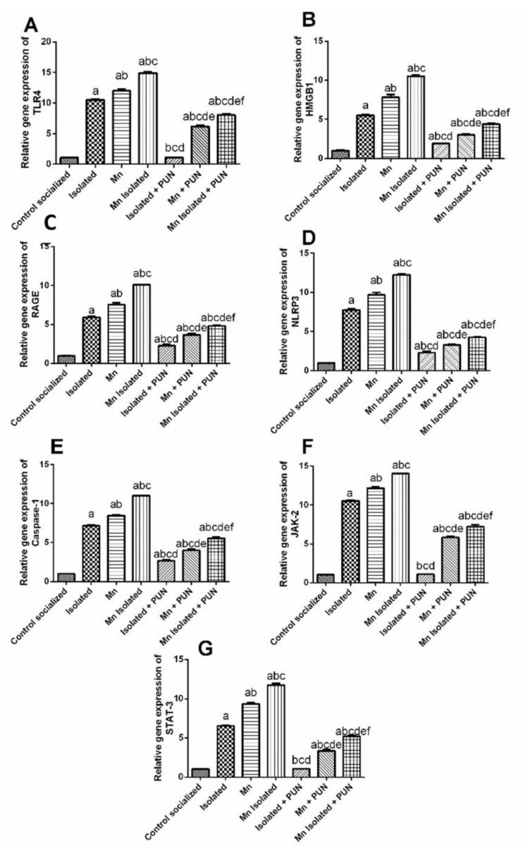 https://cdn.ncbi.nlm.nih.gov/pmc/blobs/904d/10610313/b43b46a05a60/pharmaceutics-15-02420-g006.jpg