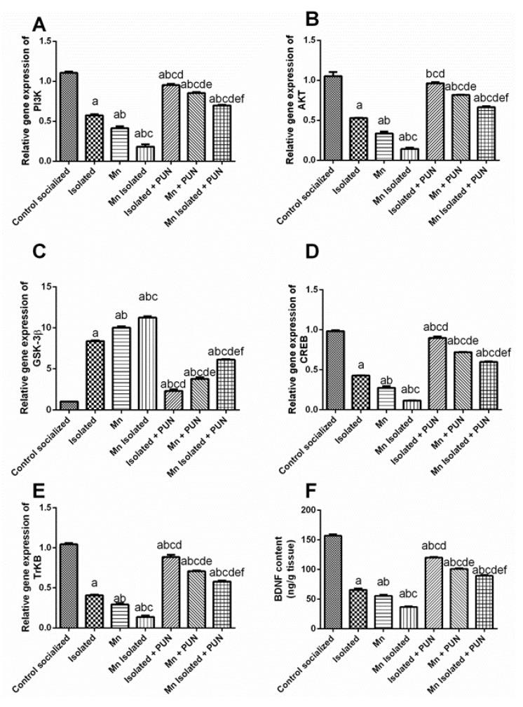 https://cdn.ncbi.nlm.nih.gov/pmc/blobs/904d/10610313/d3681d8862c0/pharmaceutics-15-02420-g007.jpg