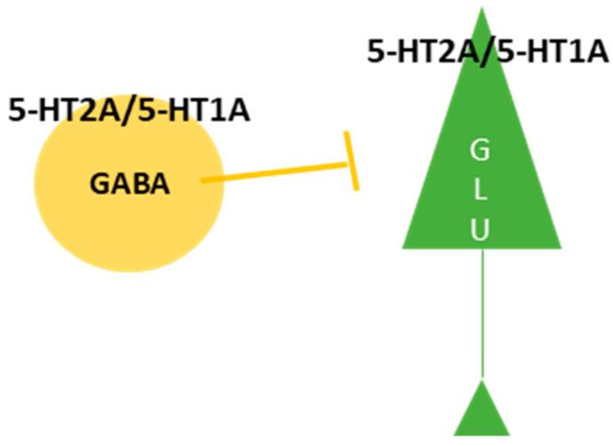 https://cdn.ncbi.nlm.nih.gov/pmc/blobs/904d/10778977/5645b6211b4b/ijms-25-00241-g002.jpg