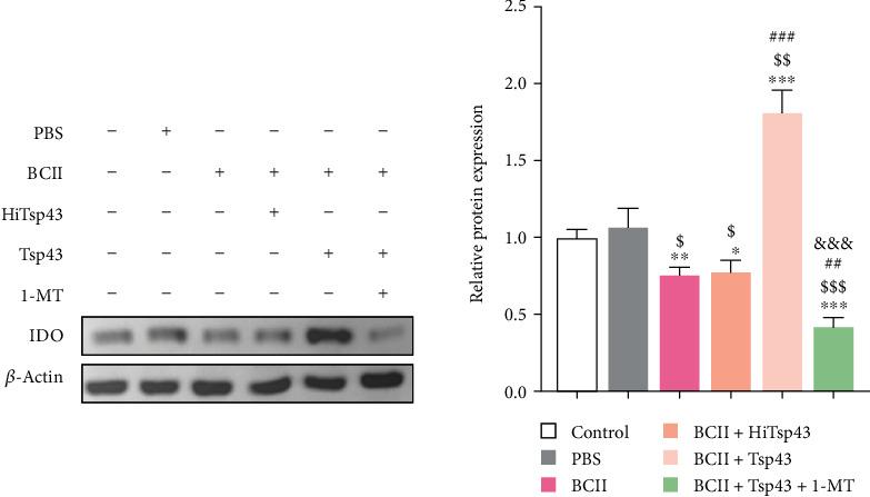 https://cdn.ncbi.nlm.nih.gov/pmc/blobs/904d/10807947/2b83aa2c33d7/JIR2024-8816919.006.jpg