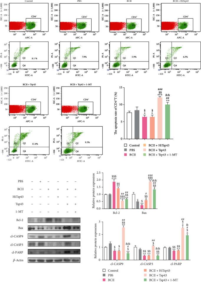 https://cdn.ncbi.nlm.nih.gov/pmc/blobs/904d/10807947/de782970bf31/JIR2024-8816919.009.jpg