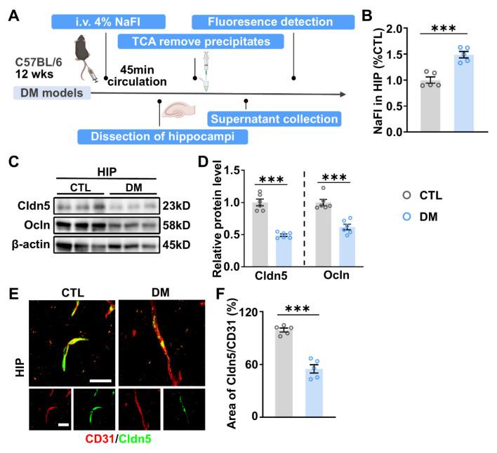 https://cdn.ncbi.nlm.nih.gov/pmc/blobs/904f/11989596/18dc45da9f28/ijms-26-03355-g003.jpg