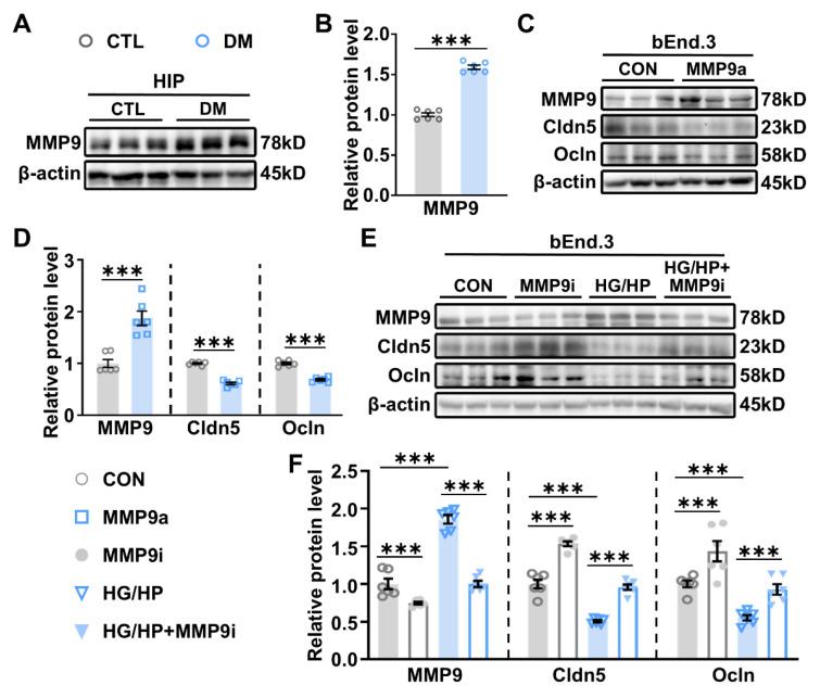 https://cdn.ncbi.nlm.nih.gov/pmc/blobs/904f/11989596/2d4fa9deffa8/ijms-26-03355-g004.jpg