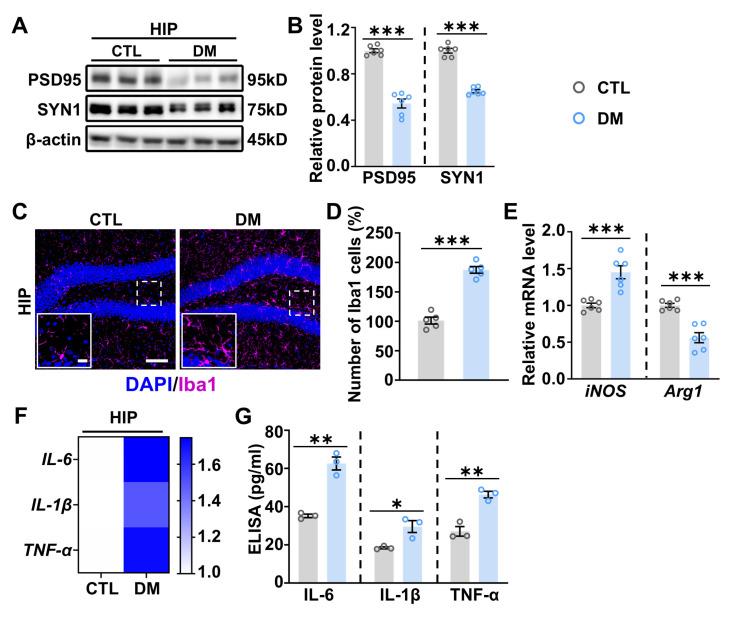 https://cdn.ncbi.nlm.nih.gov/pmc/blobs/904f/11989596/95a15e7f3264/ijms-26-03355-g002.jpg