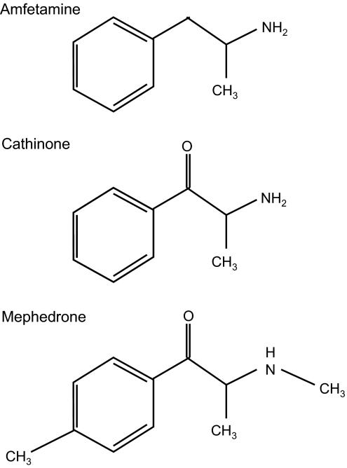 https://cdn.ncbi.nlm.nih.gov/pmc/blobs/9052/3143586/3c95591486a8/emermed96636fig1.jpg