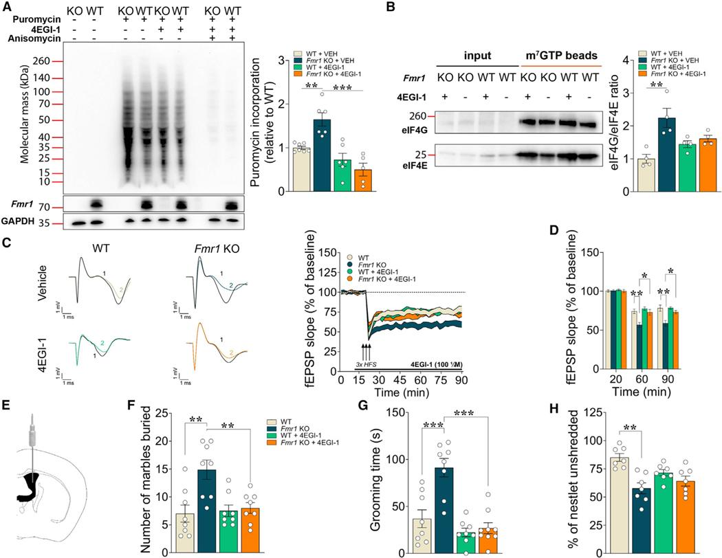 https://cdn.ncbi.nlm.nih.gov/pmc/blobs/9054/10552611/93ac878edfb2/nihms-1928250-f0002.jpg