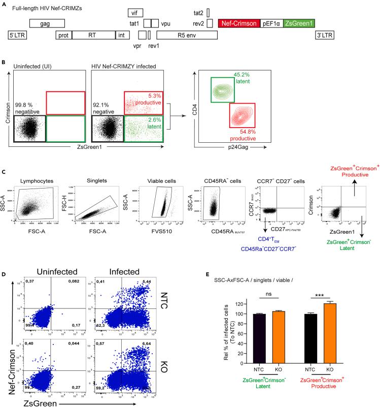 https://cdn.ncbi.nlm.nih.gov/pmc/blobs/9058/11217618/3bd0da63fd0b/gr5.jpg