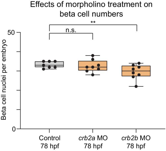 https://cdn.ncbi.nlm.nih.gov/pmc/blobs/9059/7864636/a21ff9b308b8/elife-59067-fig6-figsupp4.jpg