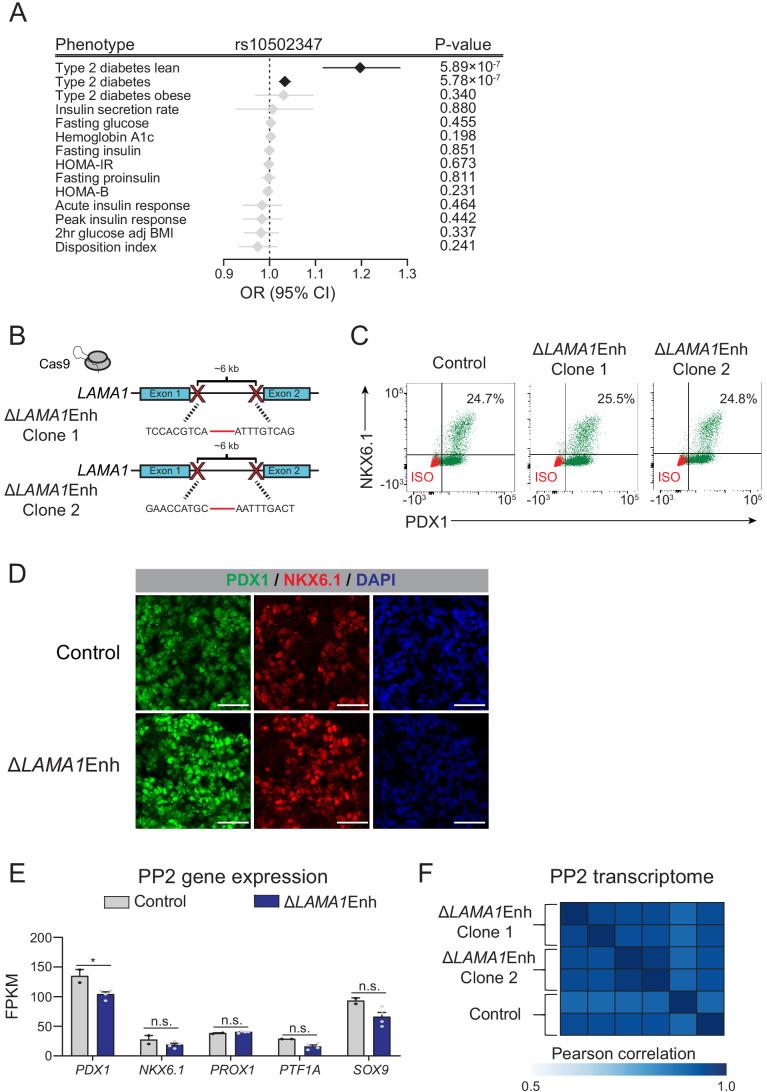 https://cdn.ncbi.nlm.nih.gov/pmc/blobs/9059/7864636/ead1549d1e0c/elife-59067-fig4-figsupp1.jpg