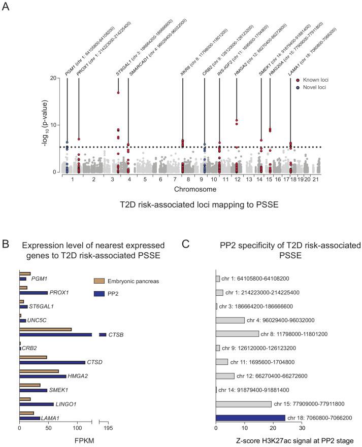 https://cdn.ncbi.nlm.nih.gov/pmc/blobs/9059/7864636/f79963cd3ec8/elife-59067-fig3.jpg