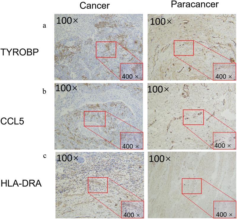 https://cdn.ncbi.nlm.nih.gov/pmc/blobs/905b/10561582/bf7758947a68/KHVI_A_2254239_F0008_OC.jpg