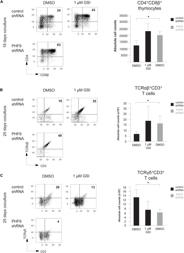 https://cdn.ncbi.nlm.nih.gov/pmc/blobs/905d/7672048/42cdfdd9aa17/fcell-08-599472-g006.jpg