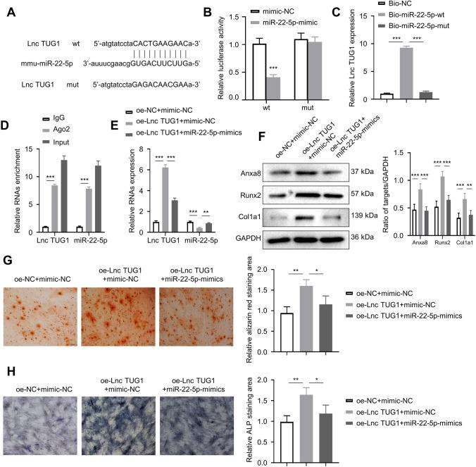 https://cdn.ncbi.nlm.nih.gov/pmc/blobs/905f/10110643/11ca16196f80/13577_2023_881_Fig3_HTML.jpg