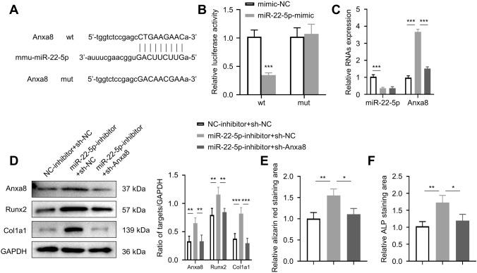 https://cdn.ncbi.nlm.nih.gov/pmc/blobs/905f/10110643/1dc418eb57fd/13577_2023_881_Fig4_HTML.jpg