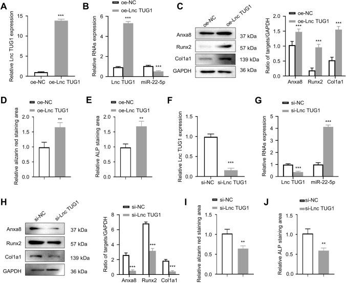 https://cdn.ncbi.nlm.nih.gov/pmc/blobs/905f/10110643/48c8722821bc/13577_2023_881_Fig2_HTML.jpg