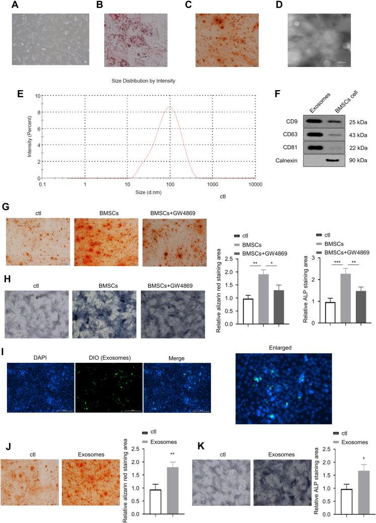 https://cdn.ncbi.nlm.nih.gov/pmc/blobs/905f/10110643/a22356e57397/13577_2023_881_Fig1_HTML.jpg