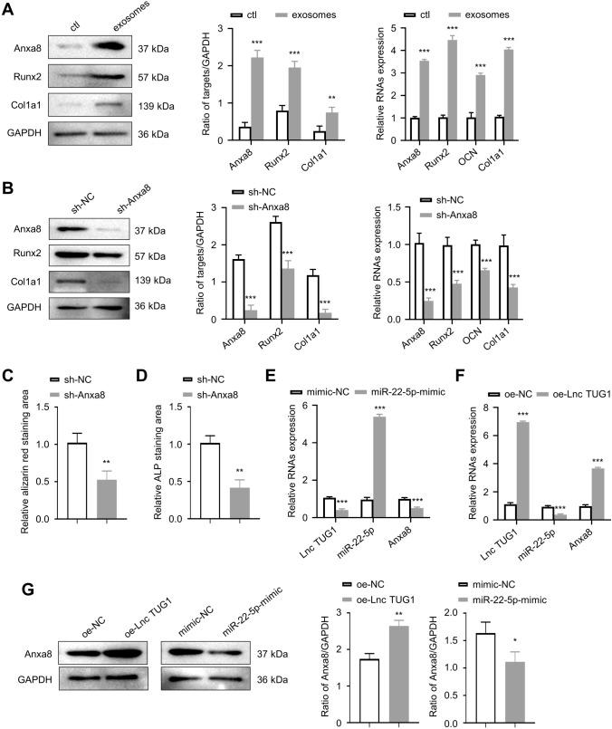 https://cdn.ncbi.nlm.nih.gov/pmc/blobs/905f/10110643/a9677842fee8/13577_2023_881_Fig5_HTML.jpg