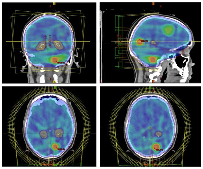 https://cdn.ncbi.nlm.nih.gov/pmc/blobs/905f/10135994/738bea573cf7/biology-12-00585-g001.jpg