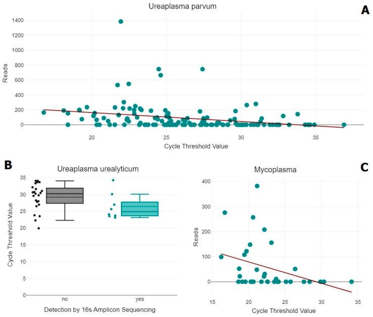 https://cdn.ncbi.nlm.nih.gov/pmc/blobs/9060/11899988/ca47aead5e64/ijms-26-01983-g001.jpg