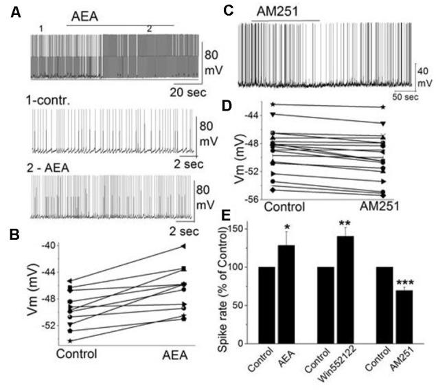 https://cdn.ncbi.nlm.nih.gov/pmc/blobs/9060/8294086/b57c444e5bc8/fncir-15-662349-g0004.jpg
