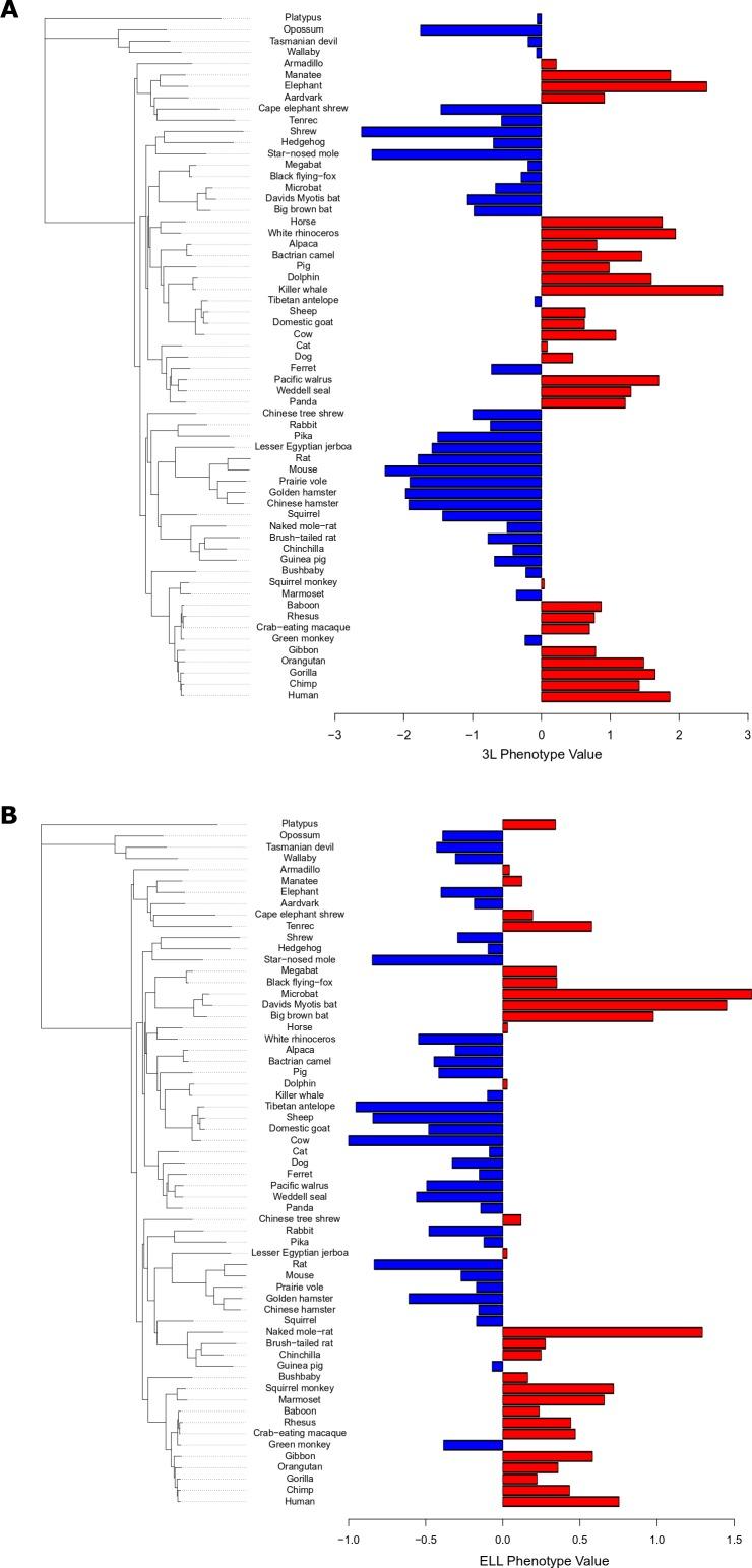 https://cdn.ncbi.nlm.nih.gov/pmc/blobs/9063/7012612/5b69468cff7e/elife-51089-fig1-figsupp1.jpg