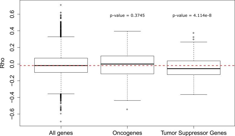 https://cdn.ncbi.nlm.nih.gov/pmc/blobs/9063/7012612/6c519a0dbfee/elife-51089-fig3-figsupp1.jpg