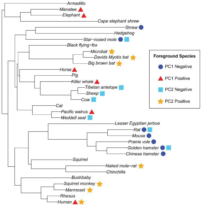 https://cdn.ncbi.nlm.nih.gov/pmc/blobs/9063/7012612/ad04e94ffd8d/elife-51089-fig1-figsupp8.jpg