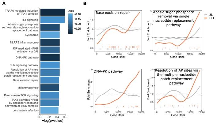 https://cdn.ncbi.nlm.nih.gov/pmc/blobs/9063/7012612/c0138eb5a121/elife-51089-fig5.jpg