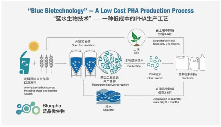 https://cdn.ncbi.nlm.nih.gov/pmc/blobs/9063/8869736/f51de04b05b6/bioengineering-09-00074-g002.jpg