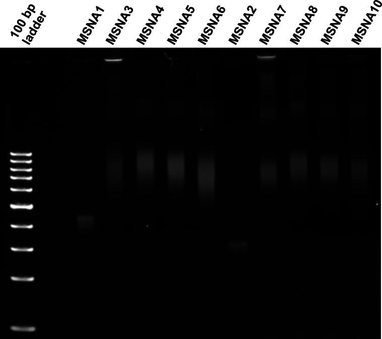 https://cdn.ncbi.nlm.nih.gov/pmc/blobs/9066/11907394/48081b2c87b0/CBIC-26-e202400908-g003.jpg