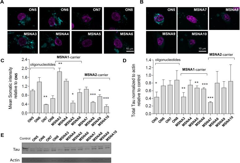 https://cdn.ncbi.nlm.nih.gov/pmc/blobs/9066/11907394/b90796e65326/CBIC-26-e202400908-g001.jpg