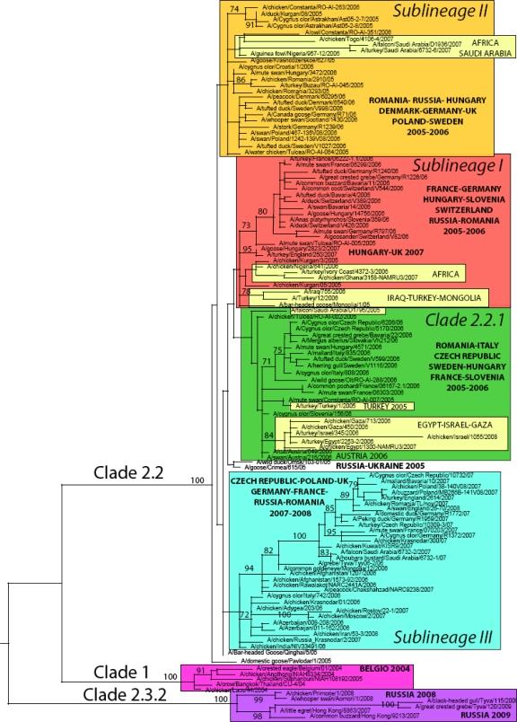 https://cdn.ncbi.nlm.nih.gov/pmc/blobs/9068/3185504/7c62a132049f/viruses-01-01351f1.jpg