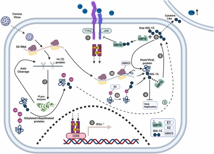 https://cdn.ncbi.nlm.nih.gov/pmc/blobs/906c/9233553/4980ee4a8c9d/gr2_lrg.jpg