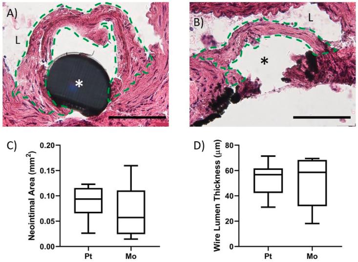 https://cdn.ncbi.nlm.nih.gov/pmc/blobs/906d/8897701/4c54f4cbed87/gr6.jpg