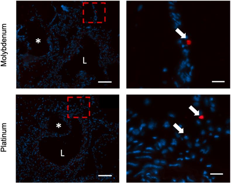 https://cdn.ncbi.nlm.nih.gov/pmc/blobs/906d/8897701/955010a68fa5/gr8.jpg