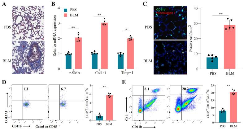 https://cdn.ncbi.nlm.nih.gov/pmc/blobs/906e/12195704/af9c09627ca5/pharmaceuticals-18-00859-g003.jpg