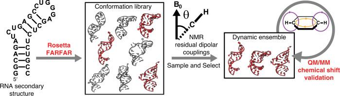 https://cdn.ncbi.nlm.nih.gov/pmc/blobs/906e/7608651/b61ac68f056c/41467_2020_19371_Fig1_HTML.jpg