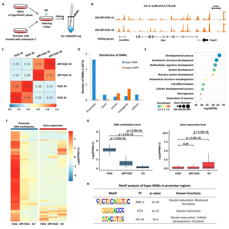 https://cdn.ncbi.nlm.nih.gov/pmc/blobs/906e/9692998/36195d469f05/ijms-23-13984-g006.jpg