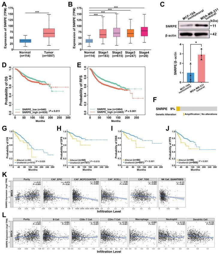 https://cdn.ncbi.nlm.nih.gov/pmc/blobs/9070/12080576/9b327683f58c/ijmsv22p2419g002.jpg