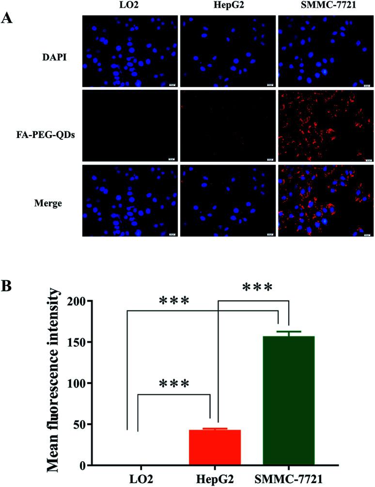 https://cdn.ncbi.nlm.nih.gov/pmc/blobs/9070/9080723/3f49c2a1b041/c8ra01025k-f6.jpg